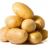 Картофель "Белла роза" оптом от Биокарт-Агро
